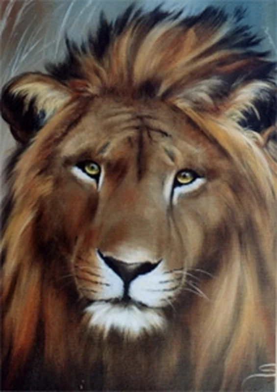 artistsupplysource1-748435