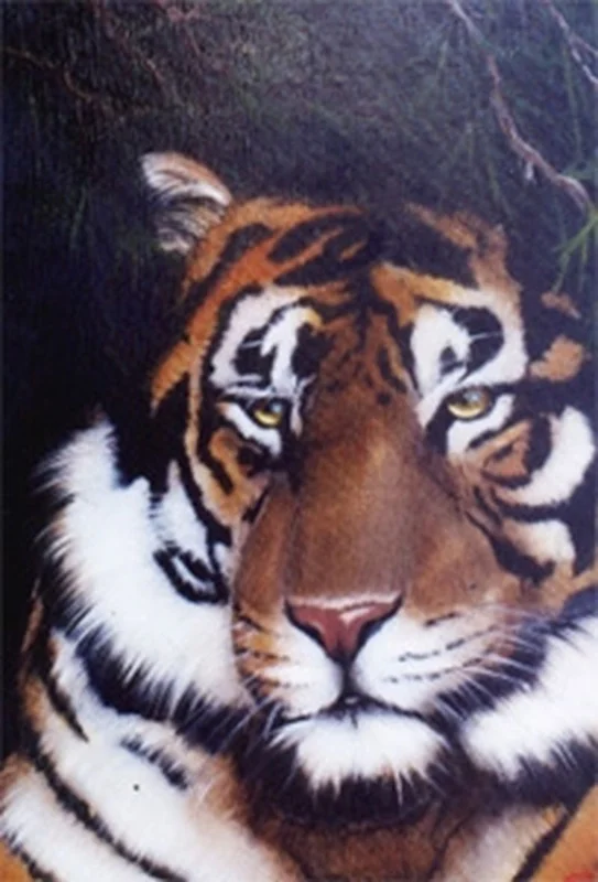 artistsupplysource1-748579