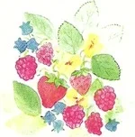 artistsupplysource2-644378