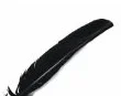 artistsupplysource2-684725