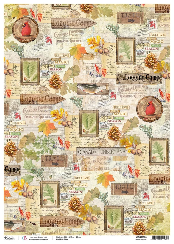 artistsupplysource2-721967