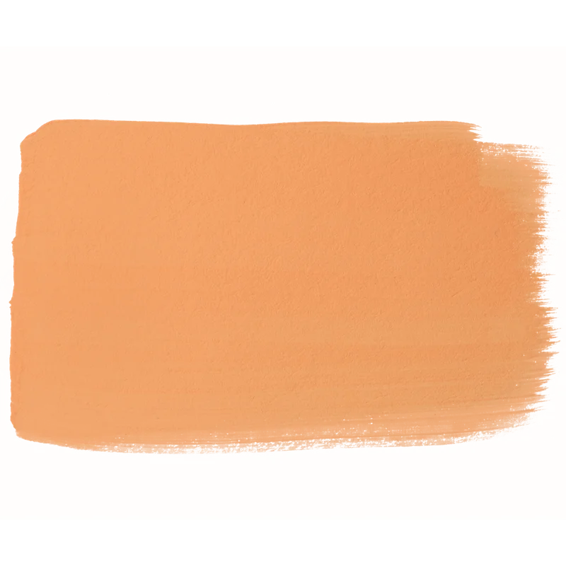 liquitex580079