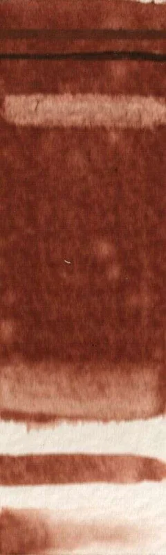 naturalpigments-654993