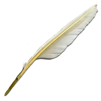 paperinkarts-485676