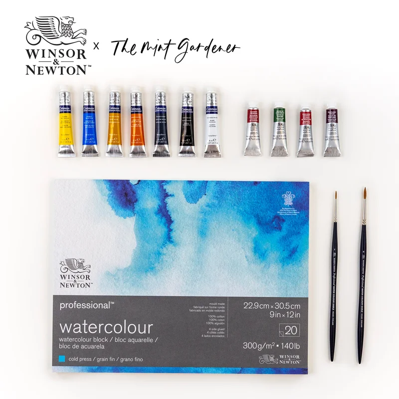winsornewton584725